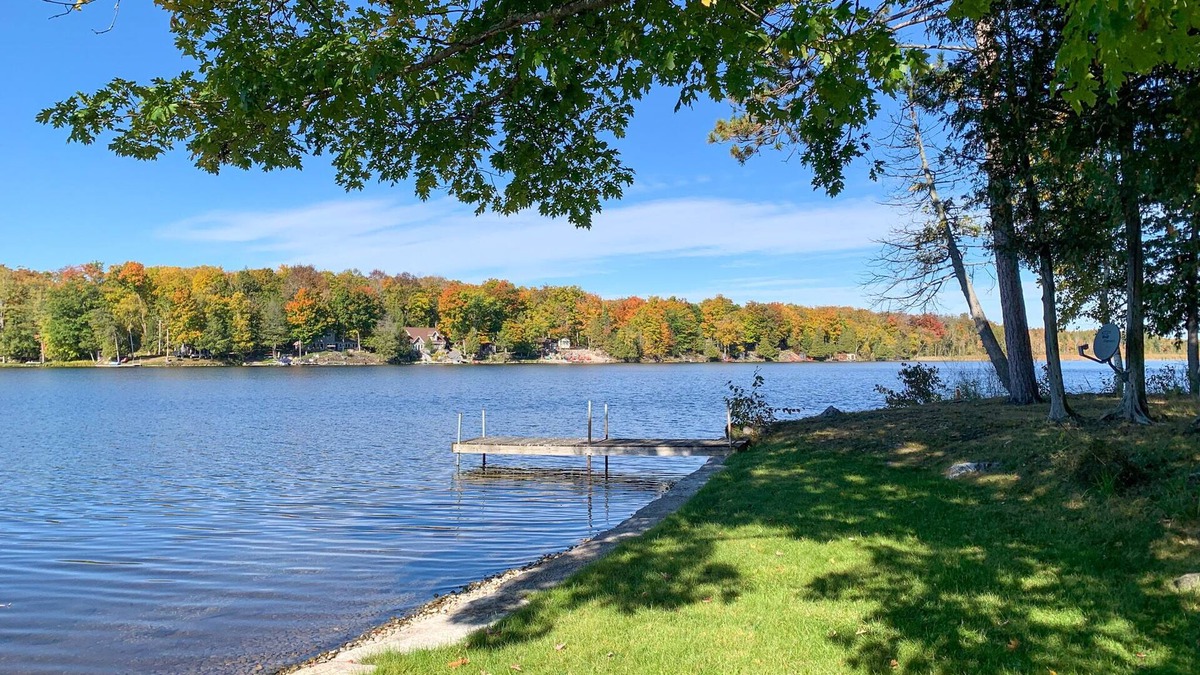 Havelock-Belmont-Methuen Cottage | Beautiful 3 Bedroom Cottage - Waterfront