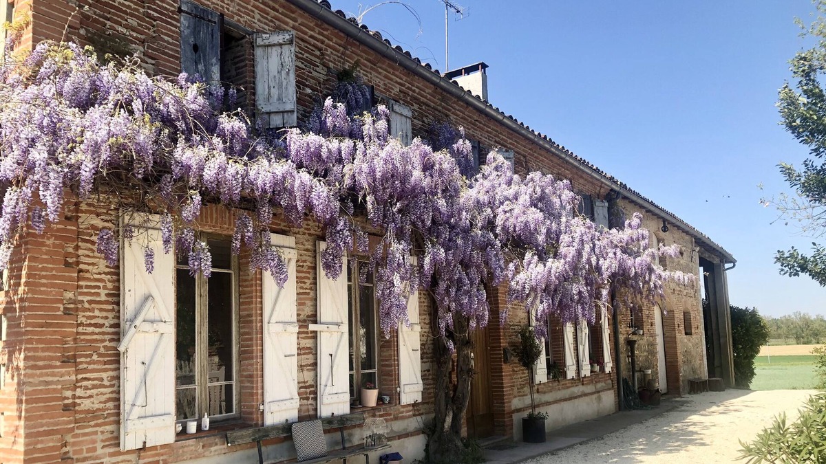 Castelferrus House | Beautiful 6 Bedroom Farm House in Tarn et Garonne