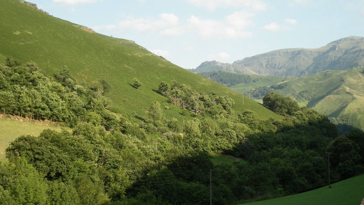 Esterencuby Apartment | Beautiful apartment rdc grde terrass view Basque mountain prox StJeanPieddePort