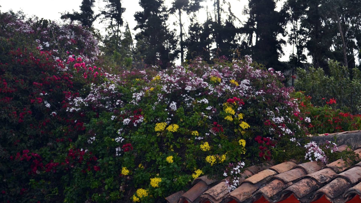 Firavitoba House | Beautiful adobe house in the countryside via a laguna de tota