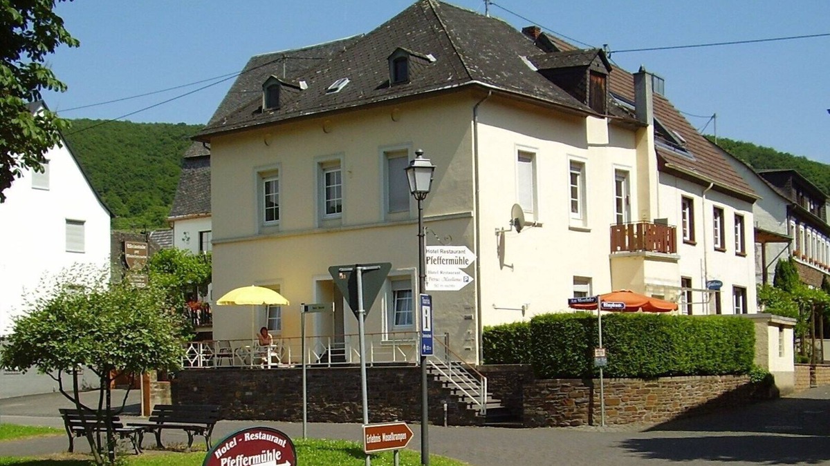 Bruttig Apartment | Beautiful apartment with a view of the vineyards/on the banks of the Moselle/2 terraces just for you