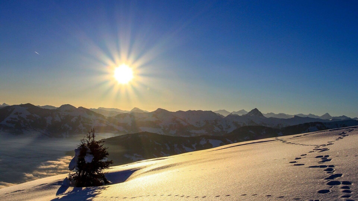 Oberau Wildschonau Apartment | Beautiful apartment for 5 guests with WIFI, TV and balcony