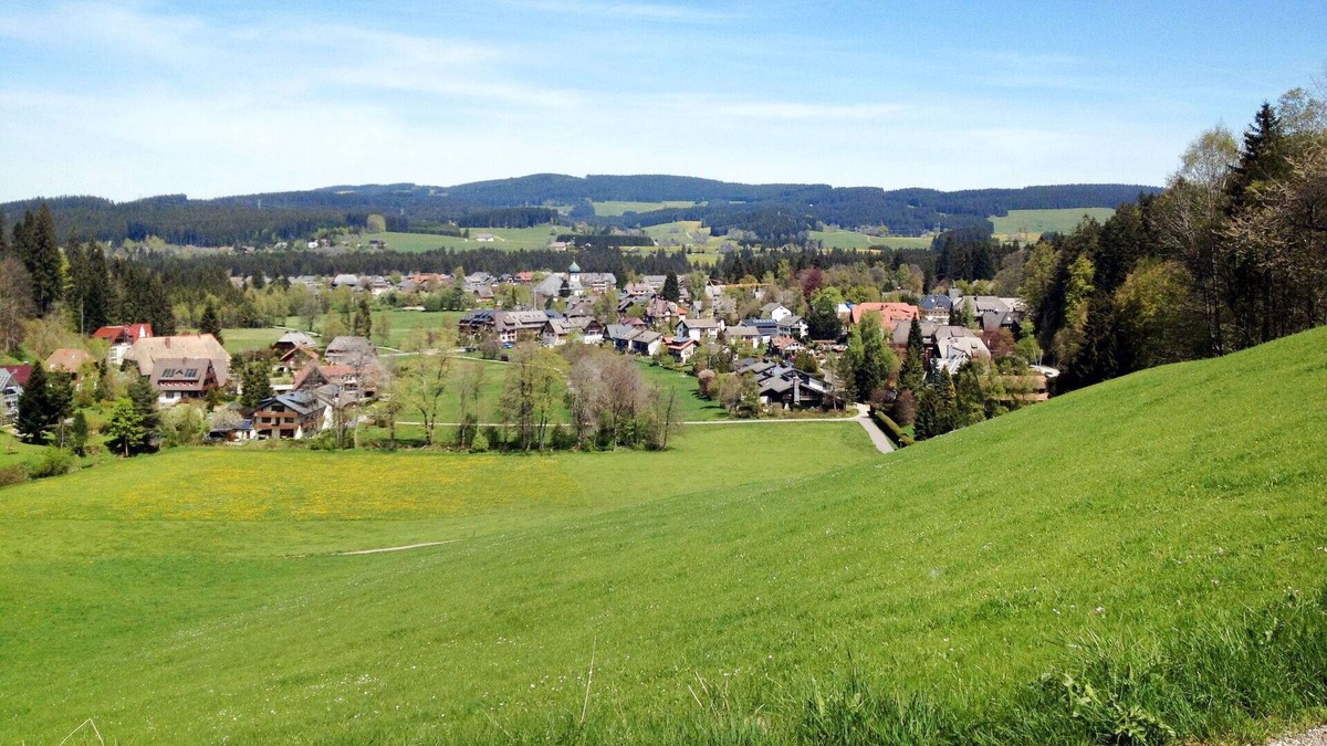 Hinterzarten Apartment | Beautiful apartment for 4 guests with WIFI, TV, terrace and parking