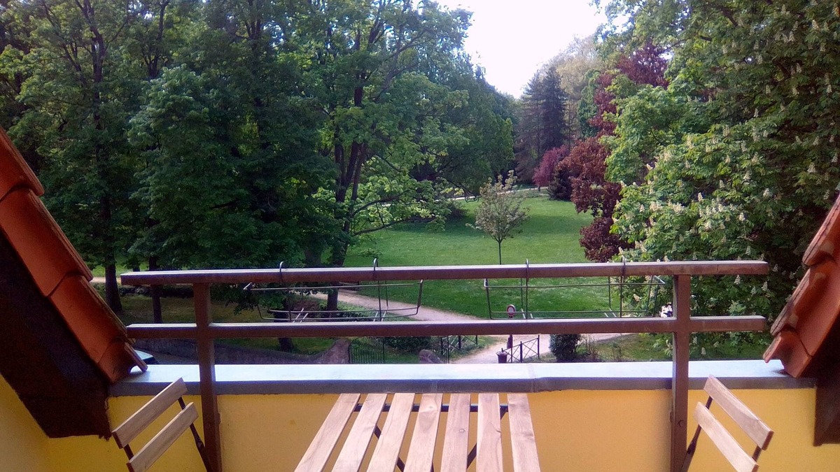Obernai Apartment | Beautiful * apartment between vineyards and Obernai ramparts