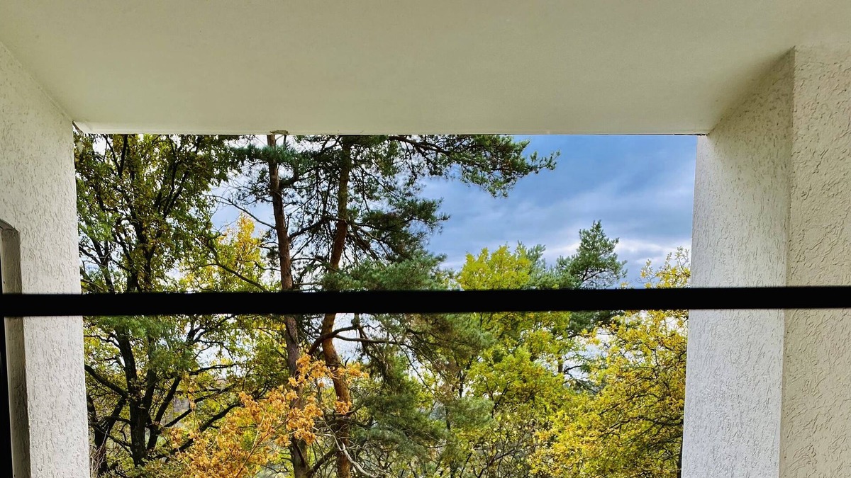 Dillenburg Condo | Beautiful apartment with forest view in Dillenburg