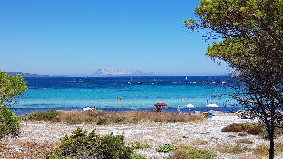 Schifoni Apartment | Beautiful apartment for 6 guests with A/C, WIFI, TV, patio and pets allowed