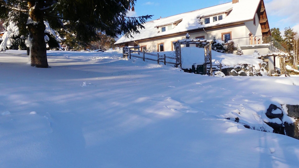 La Forge Apartment | Beautiful apartment, in the heart of the Vosges, to spend a wonderful stay!
