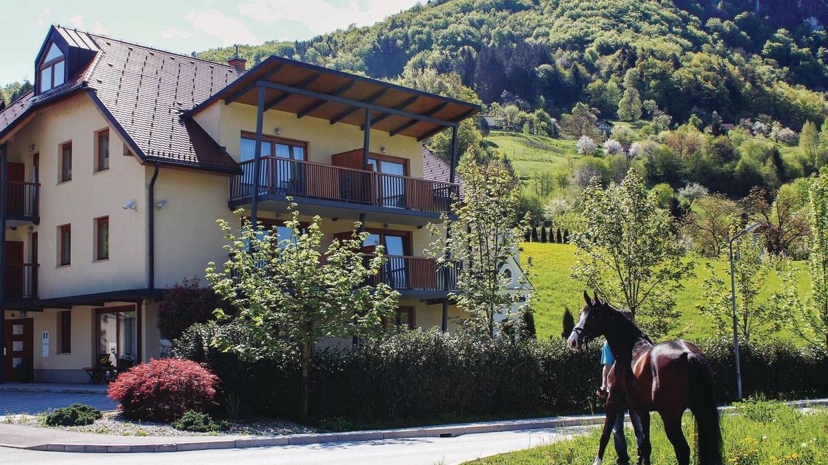 Lasko Apartment | Beautiful apartment in Lasko with WiFi