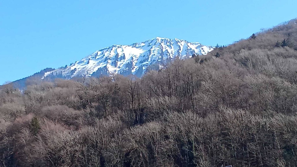 Faverges-Seythenex Apartment | Beautiful apartment with garden between lake and mountain