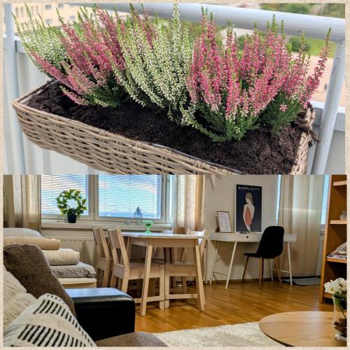 Kemi Apartment | Beautiful apartment with seaview! Top 7th floor Free parking!