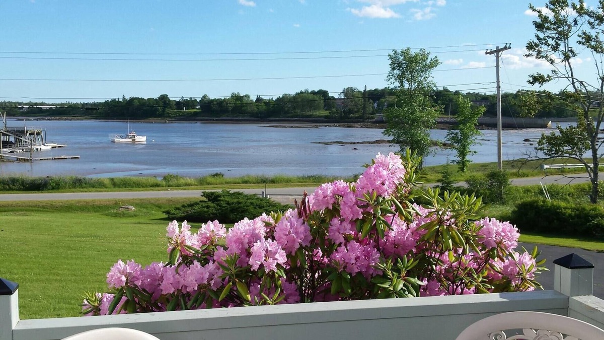 Milbridge House | Beautiful Bay View Home, 1hr to Bar Harbor/Acadia National Park