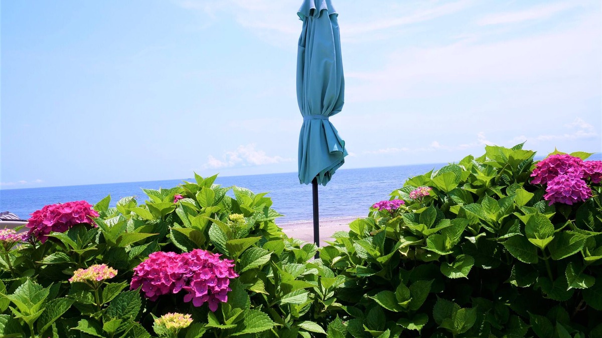 Devon House | Beautiful Beachfront Cottage Leading Directly To Your Own Sandy Beach