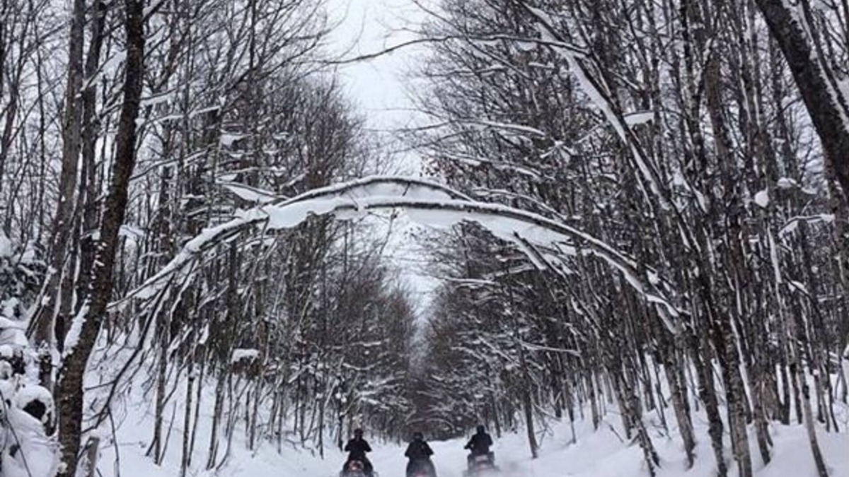 Cheboygan House | Beautiful Black Mountain Recreational Area Vacation Rental Cheboygan, MI