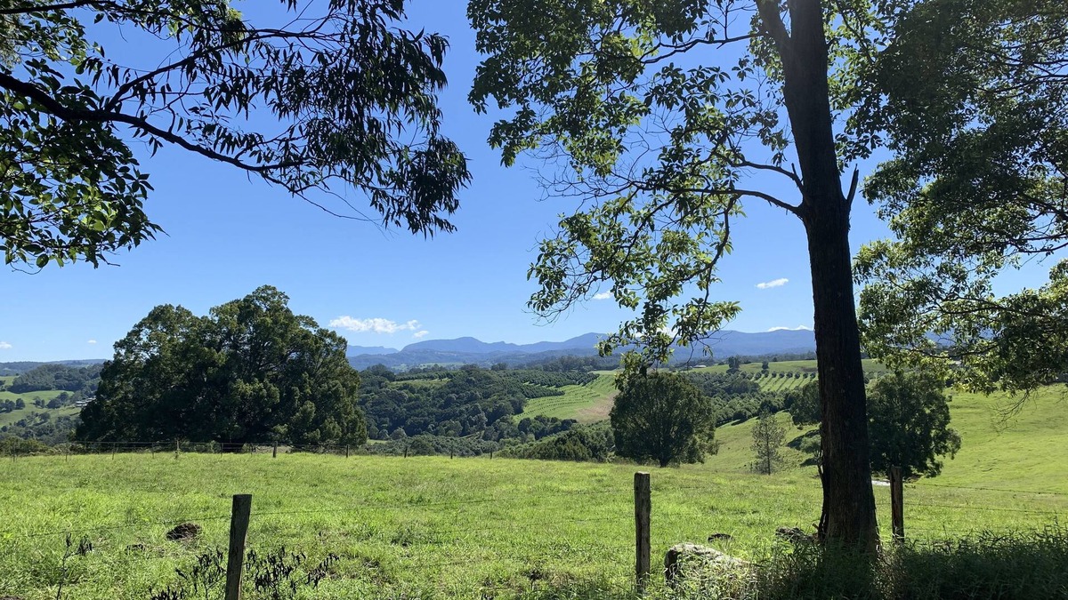 Dunoon Cabin | Beautiful Byron Hinterland.1 bedroom open plan cabin sleeps 4.