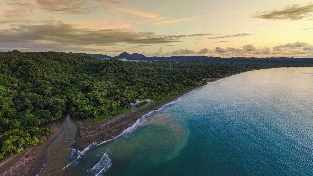 Arusi Cabin | Beautiful cabin in the beachfront, perfect to explore jungle and sea. Full relax