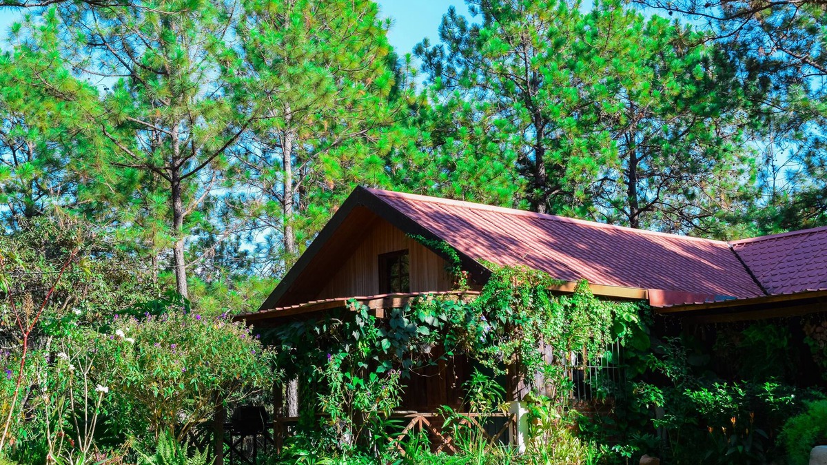 Perquin Cabin | Beautiful cabin on amazing forest in Perquin