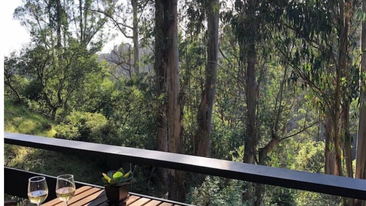 Piedmont Pines House | Beautiful Canyon View Suite, 1100 sq. ft., private deck, full kitchen