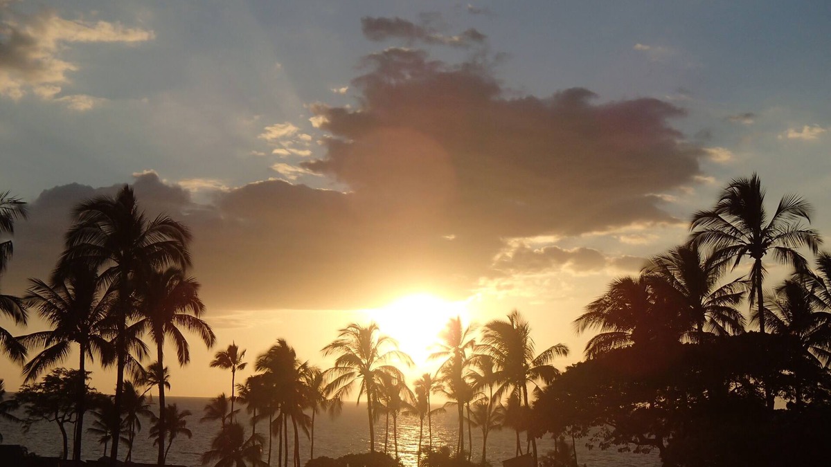 Wailea Condo | Beautiful Condo with Great Calif King Bed, Great location & all new appliances