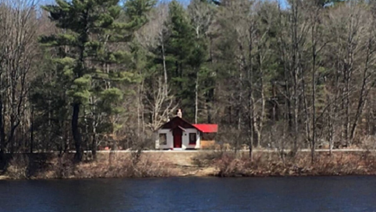 North Creek Cottage | Beautiful cottage on quiet country road walking distance to charming North Creek