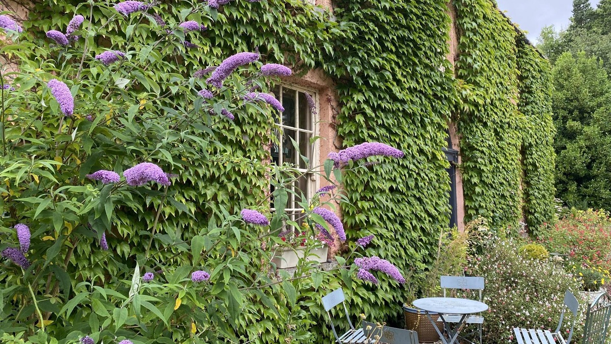 Whitegate House | Beautiful Country Manor House Set in Lush Grounds, Lake Views