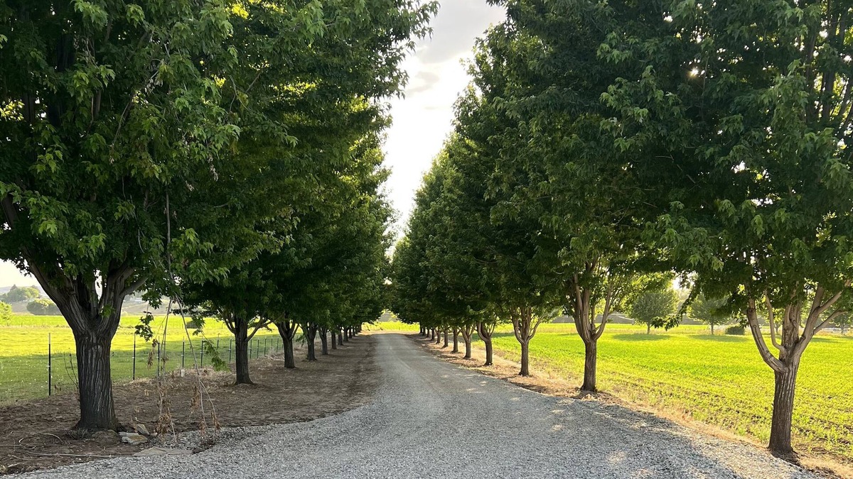 Gem County Apartment | Beautiful Country & Ranch setting with room to relax