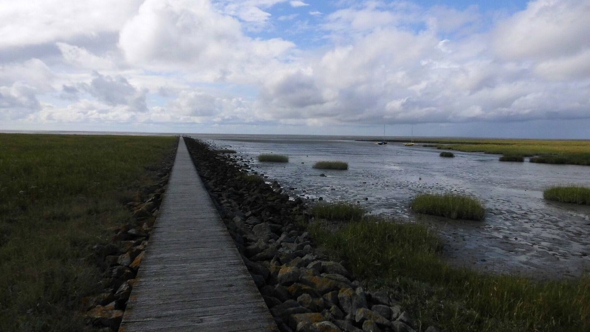 Cappel-Neufeld Apartment | Beautiful non-smoking vacation apartment on the dike for up to 3 people