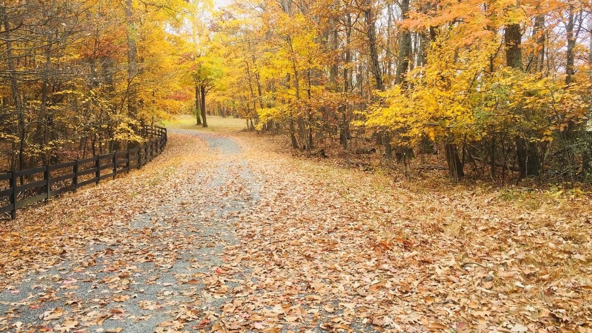 Nellysford Condo | Beautiful Fall Escape!
