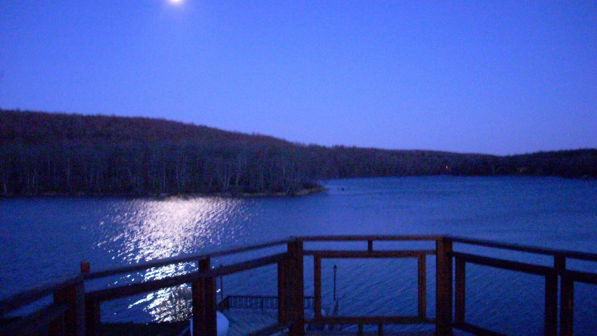 Swan Lake House | Beautiful Full-Size Private Lakefront Gated Home with dock/boats