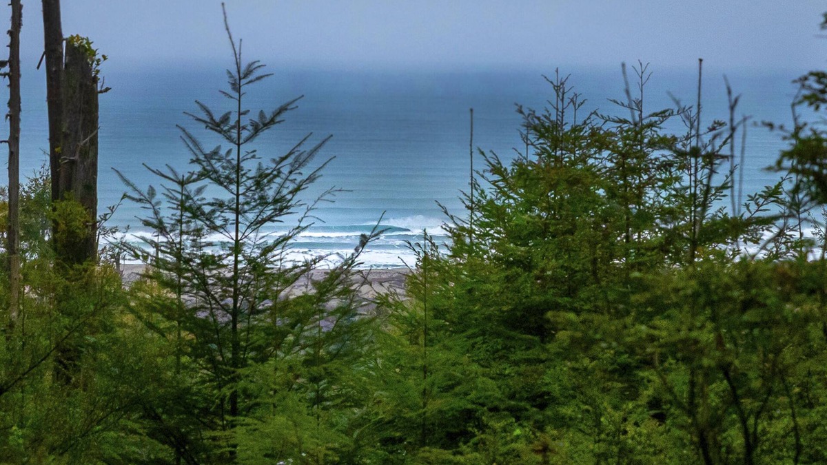 Fort Bragg Cabin | Beautiful Glamping Cabin in an old growth redwood forest with ocean views.