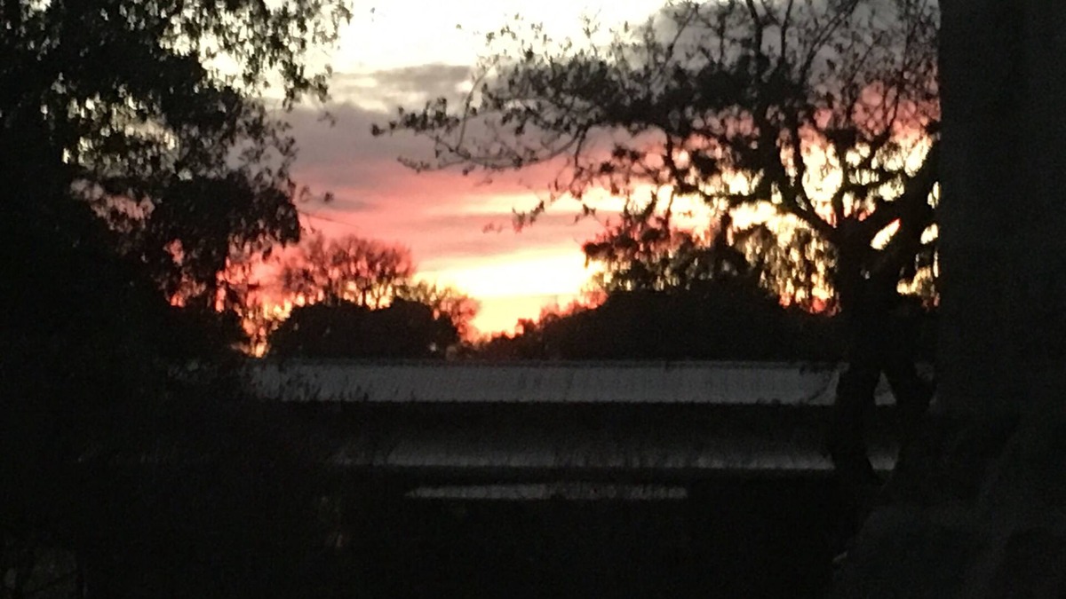 Boerne Cabin | Beautiful Hill Country Cabin with kitchenette, close to Boerne and Bulverde
