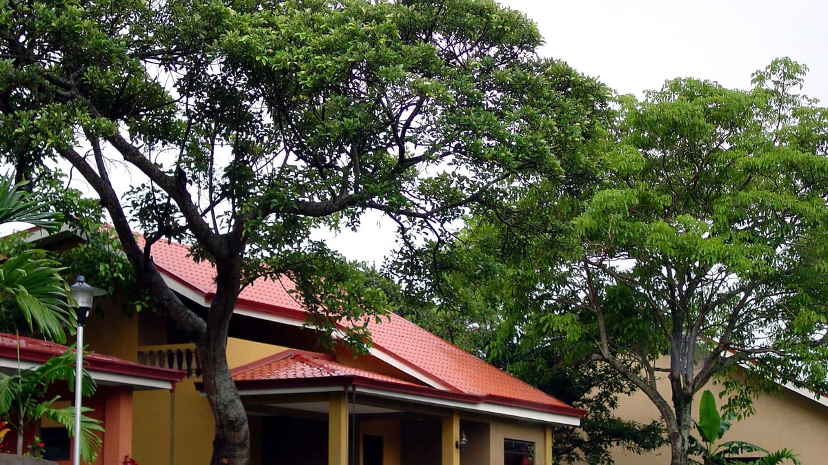 San Josecito House | BEAUTIFUL House with mountain view for rent in San Rafael de Heredia downtown