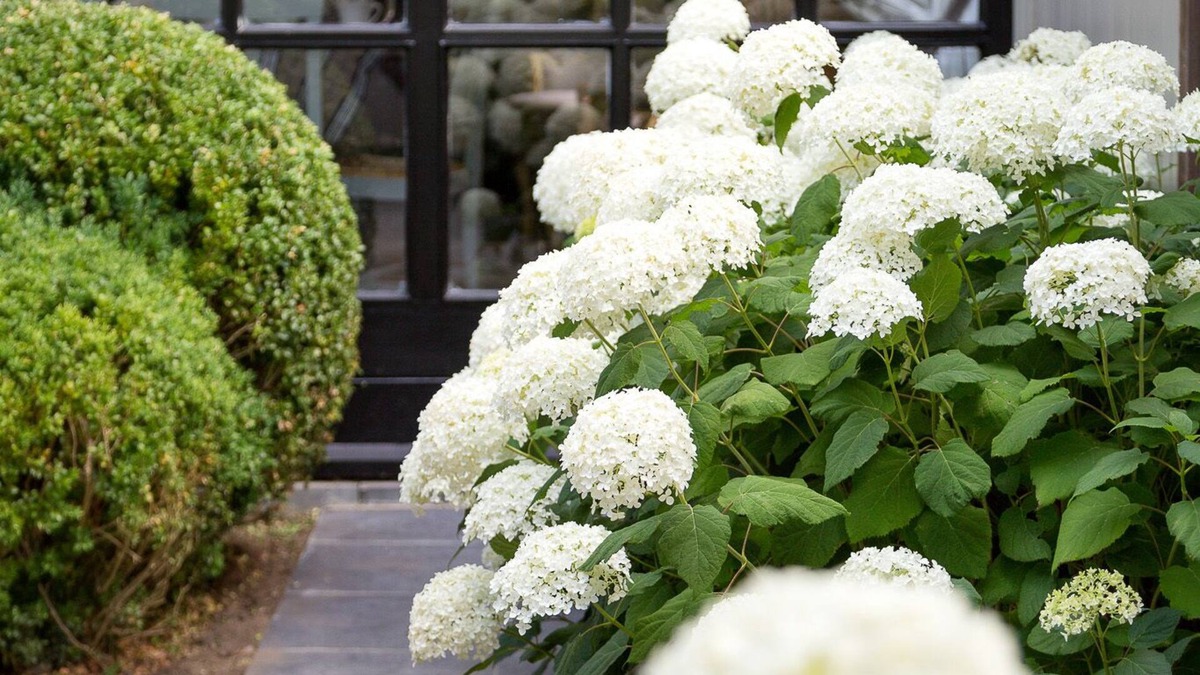 Zedelgem Cottage | Beautiful holiday home near Bruges