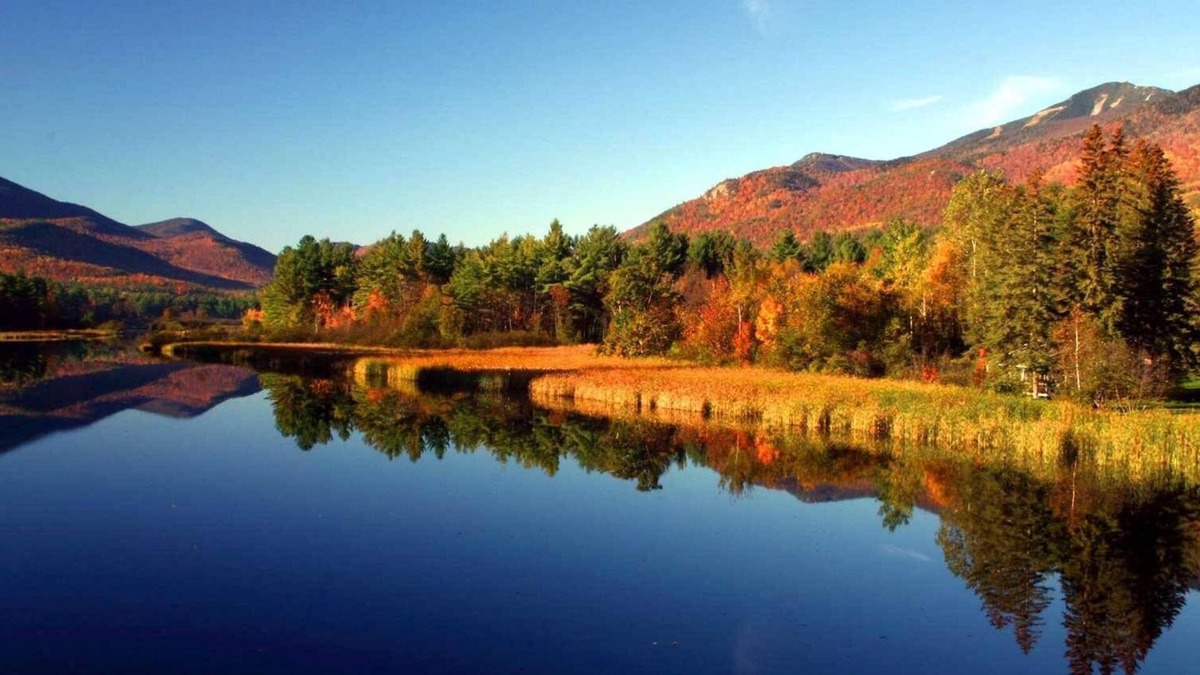 North Creek House | BEAUTIFUL HOME CLOSE TO GORE MOUNTAIN!