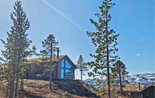 Hjartdal House | Beautiful Home In Tuddal With Wifi