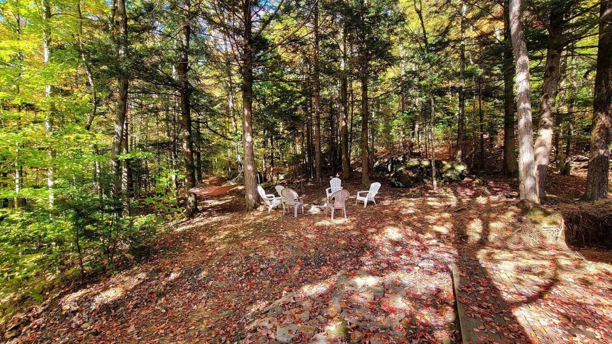 Warren House | Beautiful home located in the Mad River Valley