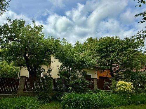 Rabyne House | Beautiful house by the river with its own dock