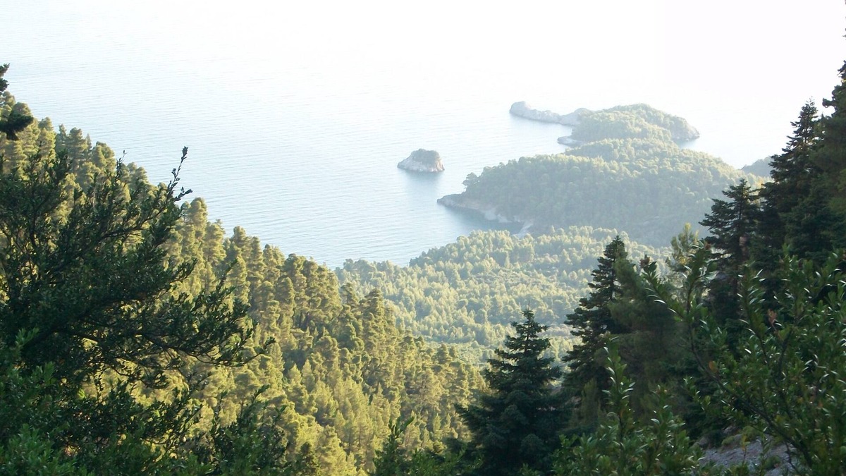 Mantoudi-Limni-Agia Anna House | beautiful house inside forrest with sea view. Paradise