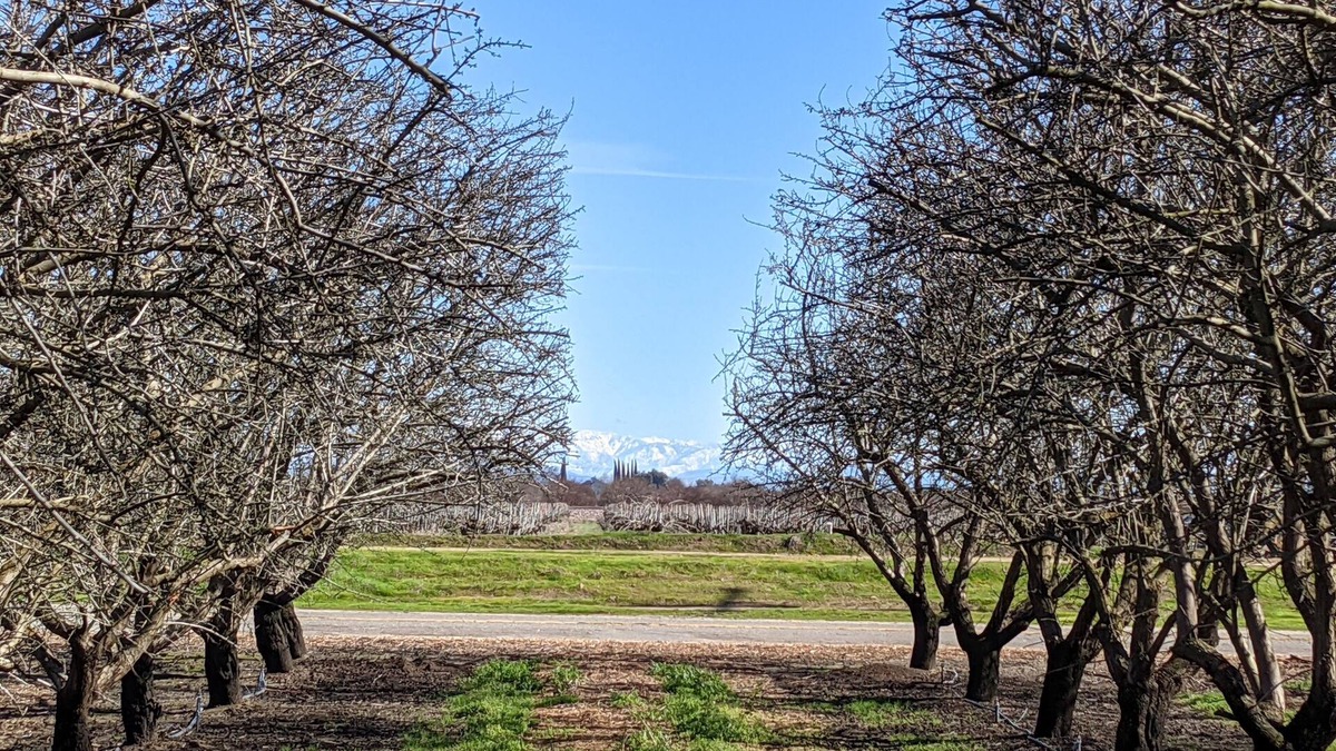 Madera Other | Beautiful house on Almond & Pistachio Farm