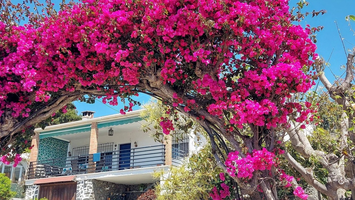 Velilla-Taramay House | Beautiful house with garden 3 minutes from the beach