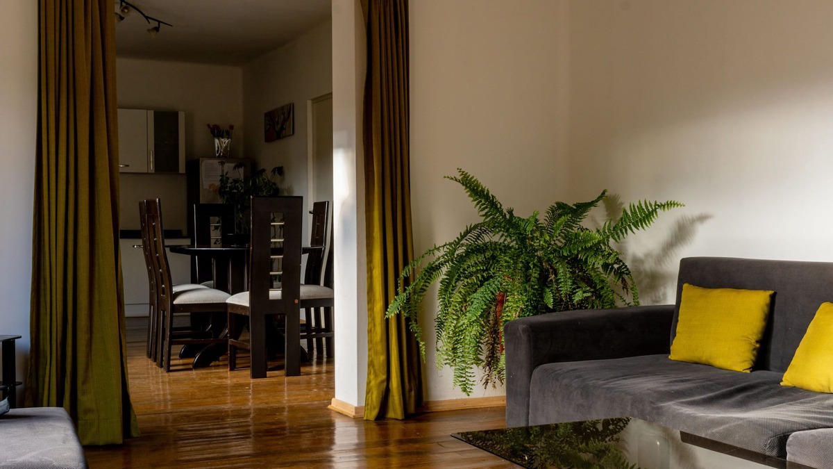 Cusco Historic Center House | Beautiful house with garden in historic center Cusco