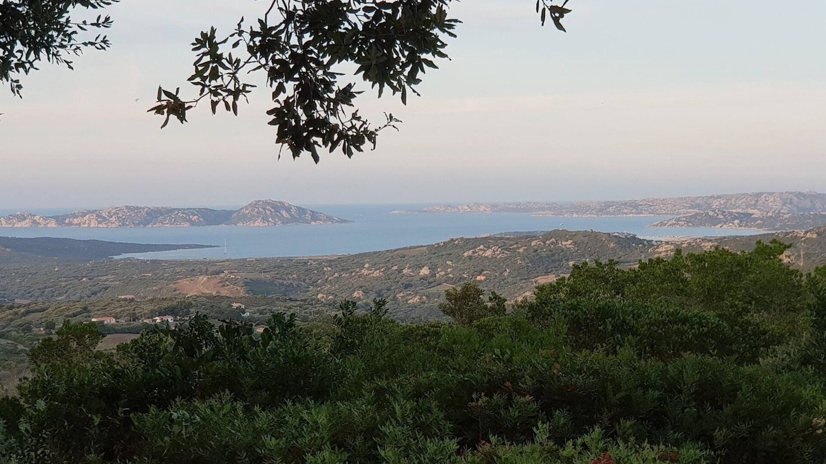 Li Lieri Villa | BEAUTIFUL HOUSE ON 3 ACRES OF GARDEN WITH VIEW ON THE SEA