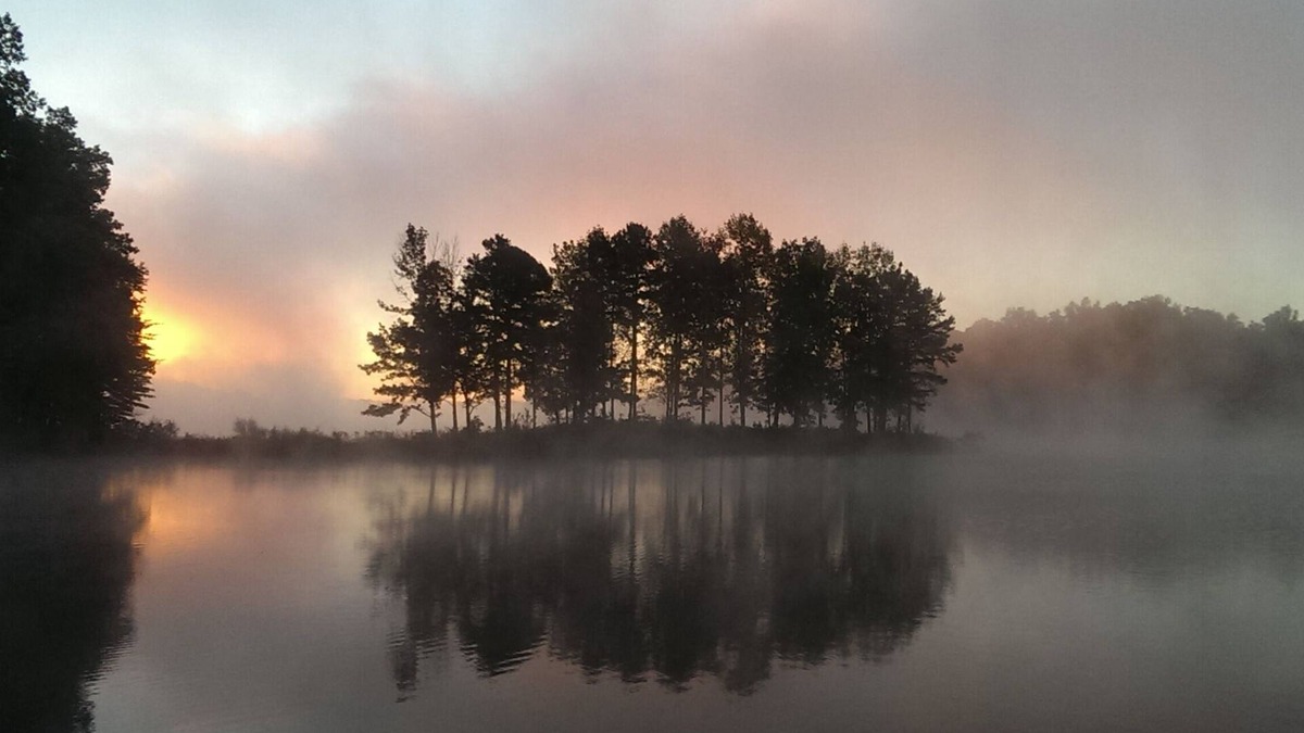 Mineral House | Beautiful Lake Front Large Enough For The Entire Extended Family