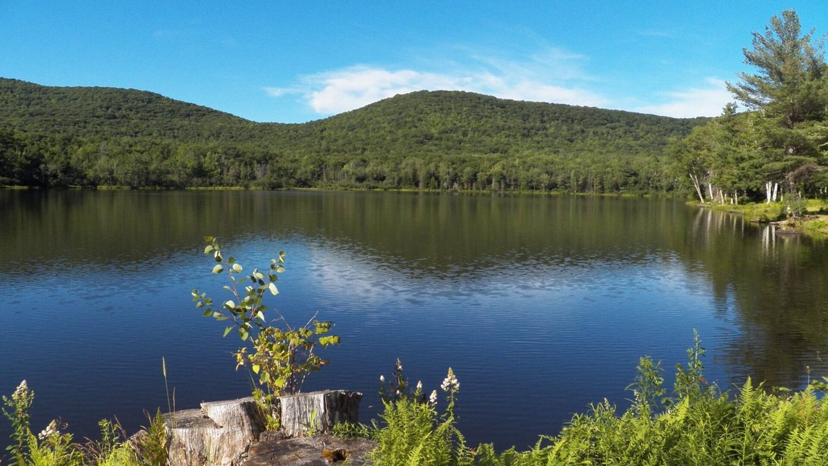 Windham House | Beautiful Lake house on private 28 acre lake