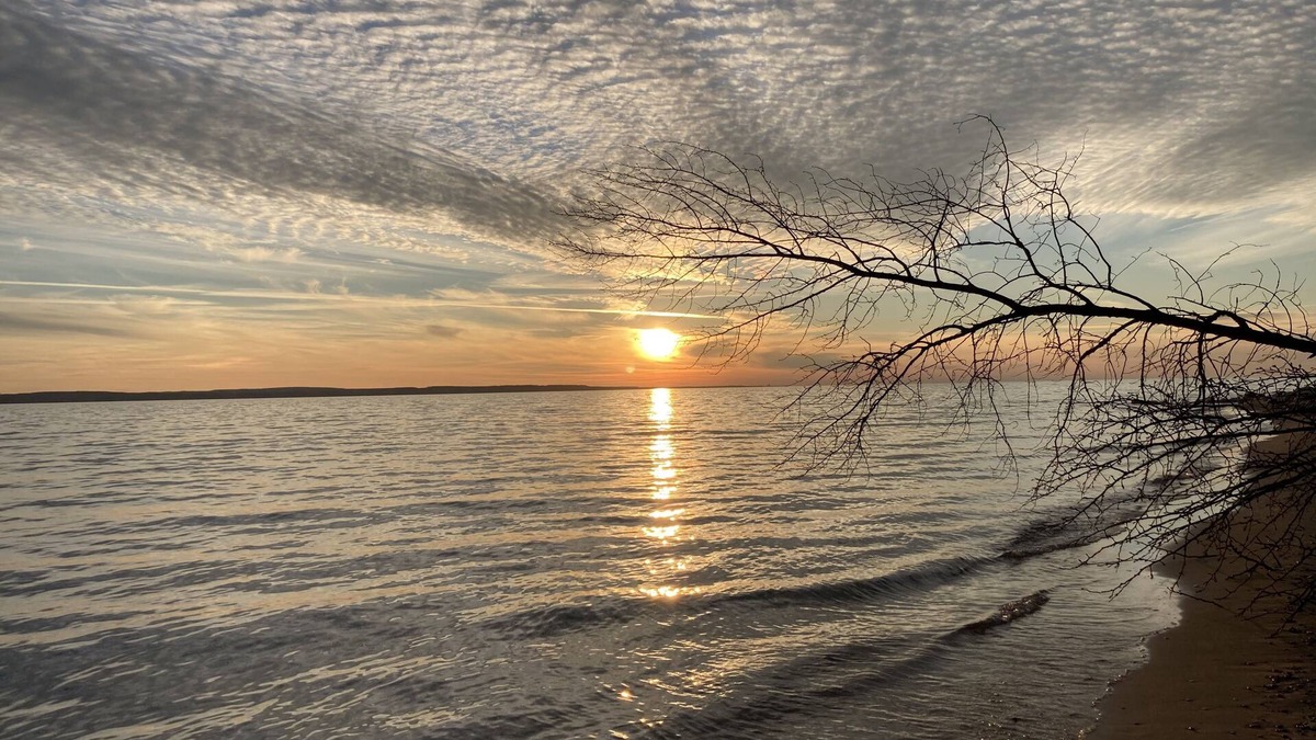 Forest Beach House | Beautiful Lake Views with Beach Access on the Entrance to the Tunnel of Trees