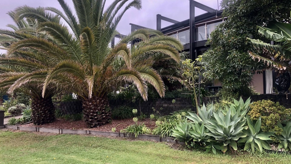 Malua Bay House | Beautiful large home sleeps 12n Sea views 2 minutes to beachnPet friendly