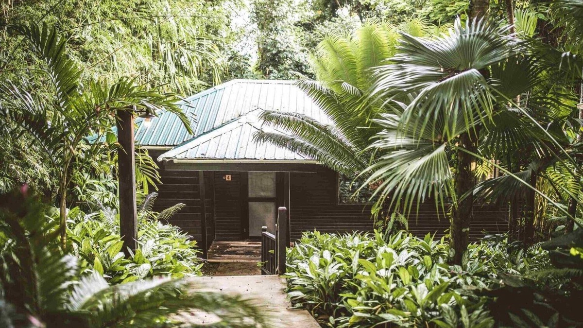 Punta Gorda Resort | Beautiful Lodge Suite with Balcony, Jungle Views, and Two Queen Beds