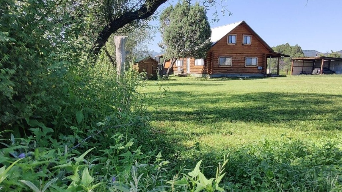 Young Cabin | Beautiful Log house with plenty of western charm & touch of modern