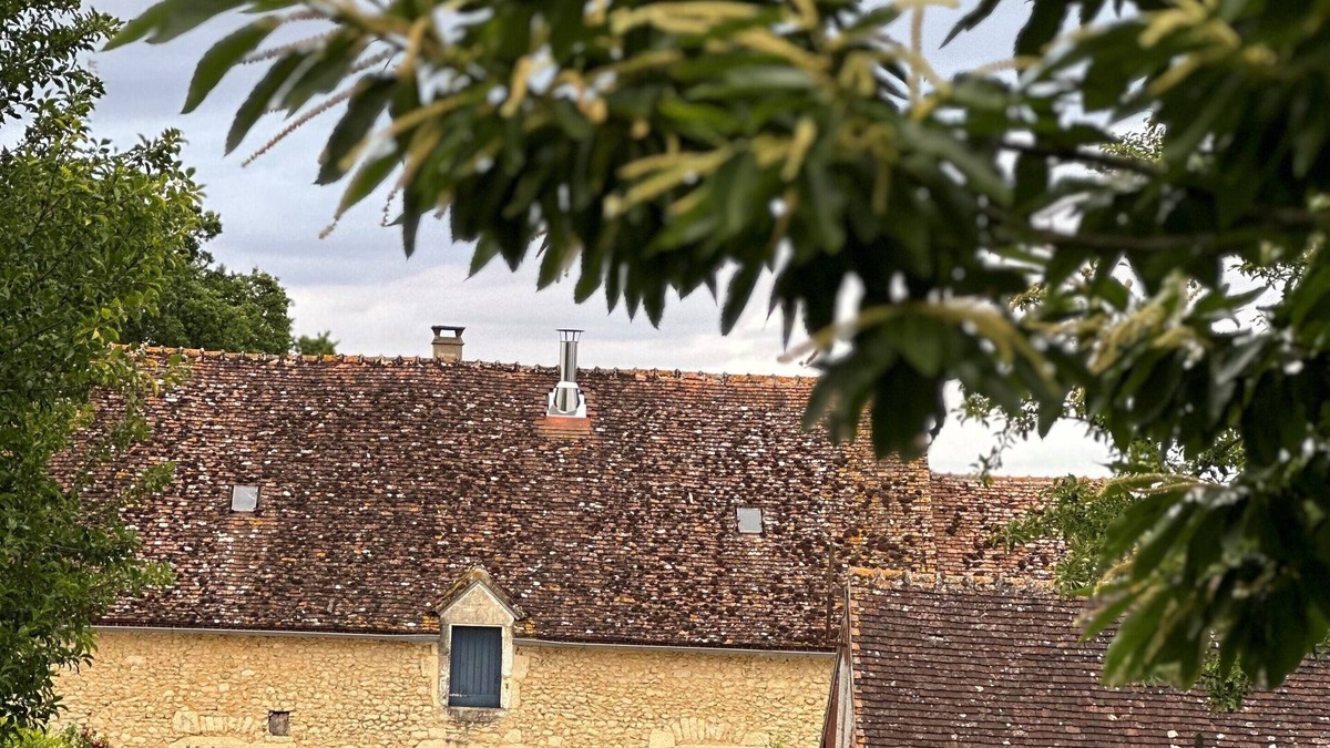 La Chapelle-Souef Other | Beautiful longère surrounded by 31 hectares of natural space in the heart of the PNR du Perche.