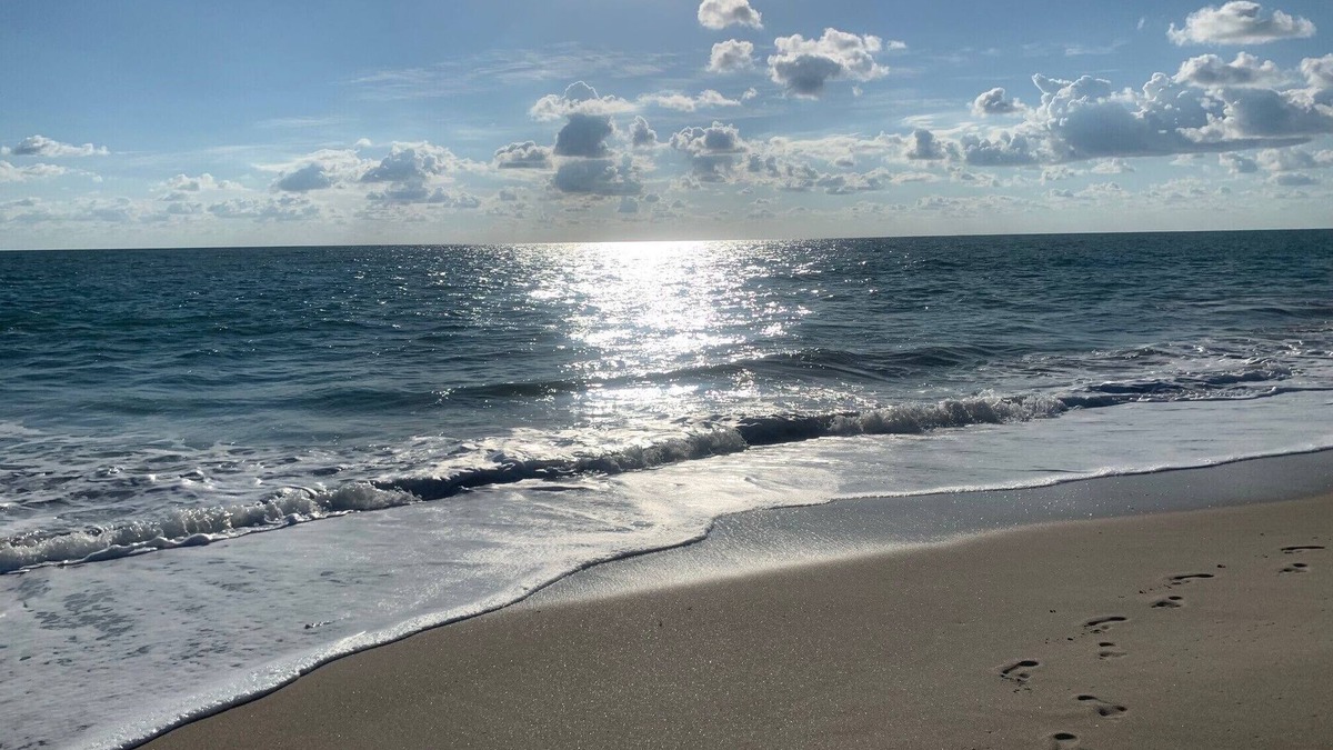 Moorings Condo | Beautiful marina views, manatees and private beach in the Moorings of Vero!