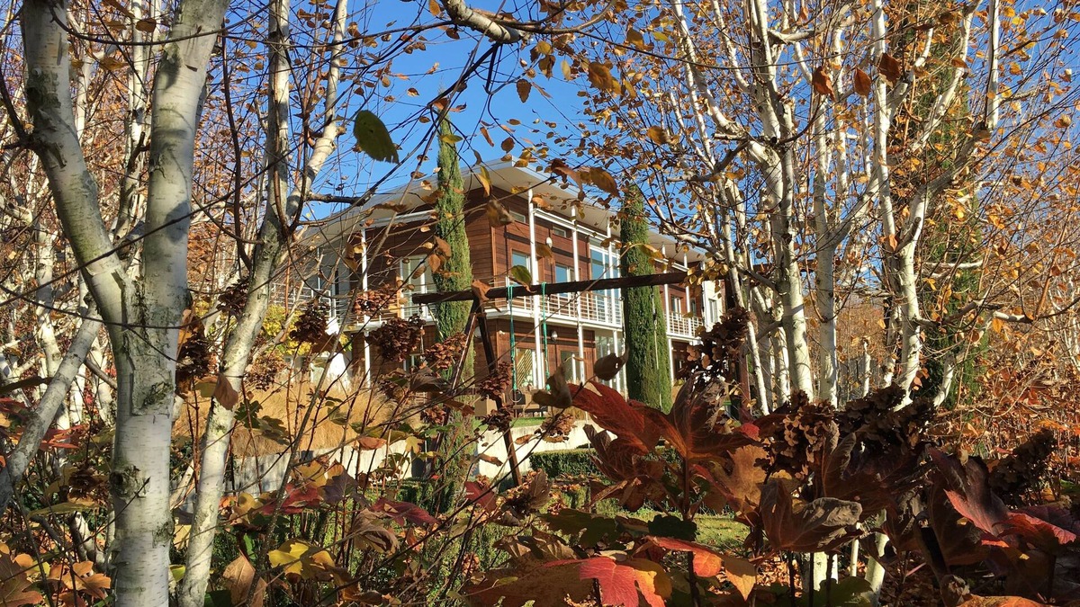 Villette House | Beautiful modern house, Lutry Lavaux, incredible garden
